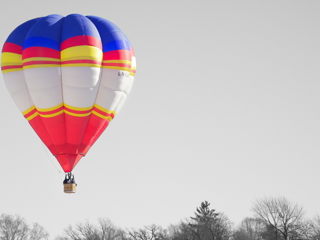 Воздушный шар над деревьями