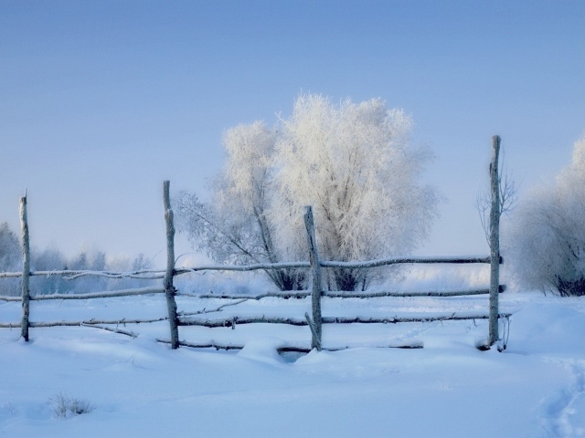 Заснеженный забор