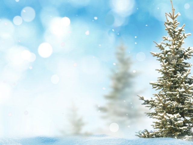 Ель снежной зимой