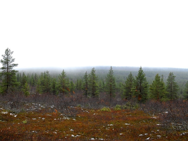 Начало зимы