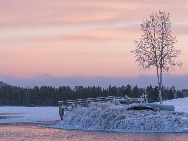 Берег зимней реки