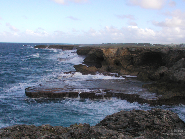 Восхитительная страна Барбадос