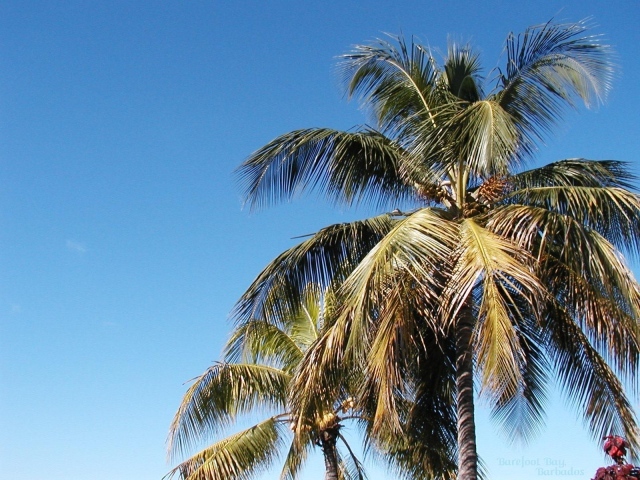 Замечательное место в Барбадос