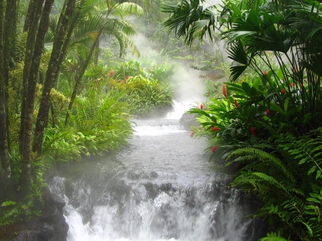 Река горячей воды в Коста-Рика