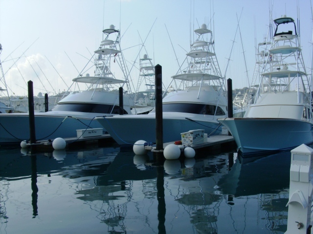 Порт Коста-Рика