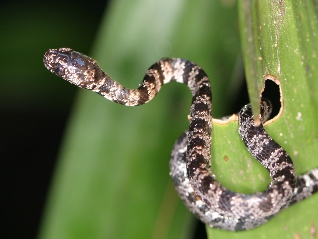 Солнечное Коста-Рика