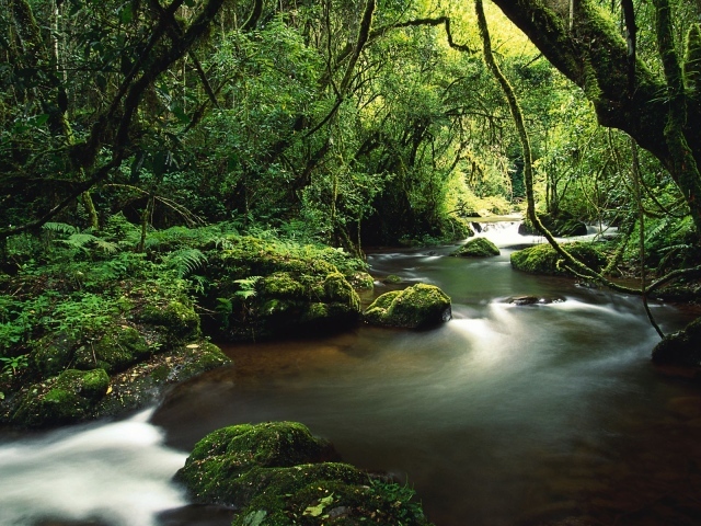 Туристическое Коста-Рика