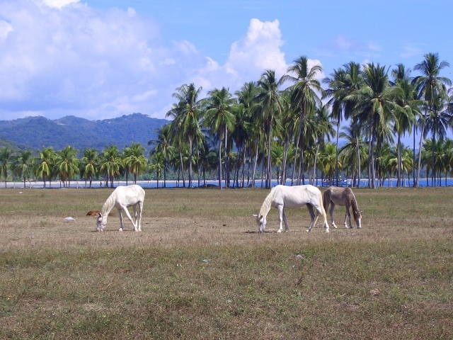 Популярное место в Коста-Рика