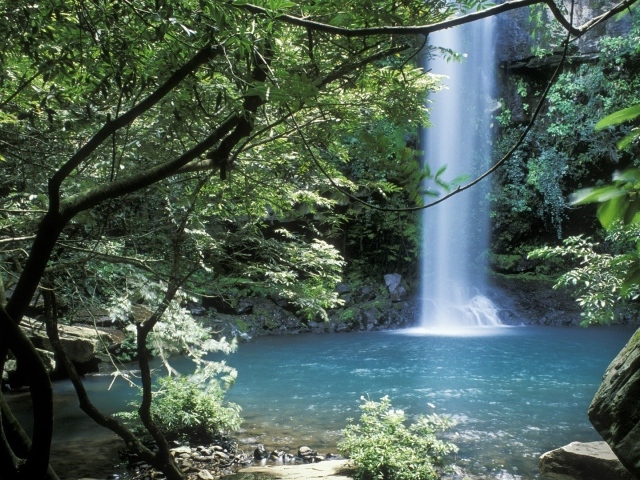 Невероятное место в Коста-Рика 