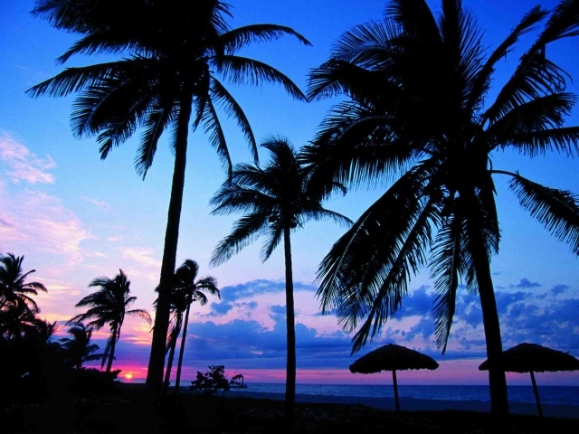 Пальмы на фоне заката на курорте Гуардалавака, Куба