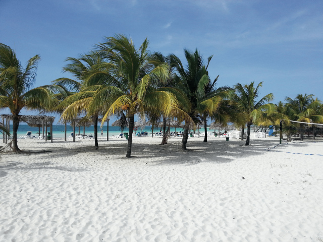 Пальмы на пляже на курорте Кайо Коко, Куба