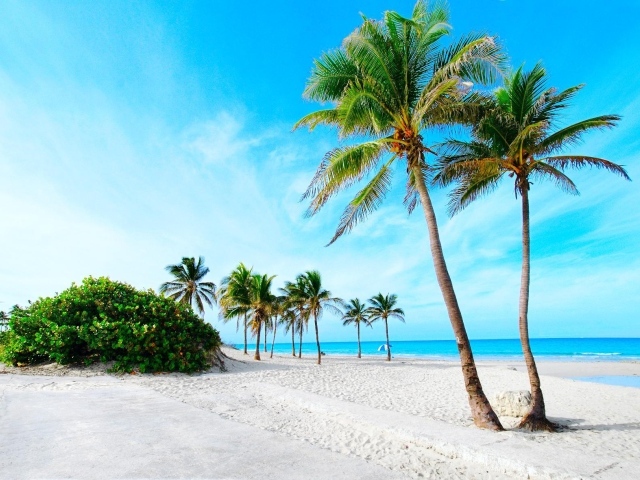 Пальмы на пляже на курорте Кайо Энсеначос, Куба