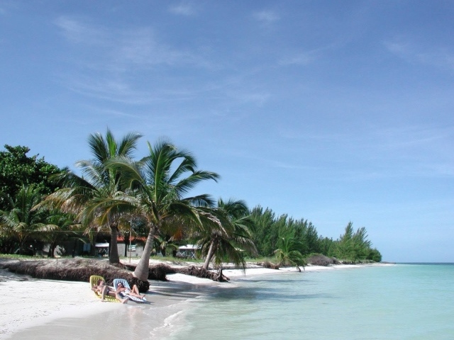 Отдых под пальмой на пляже на курорте Кайо Коко, Куба