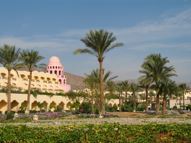 Пальмы в отеле на курорте Таба, Египет