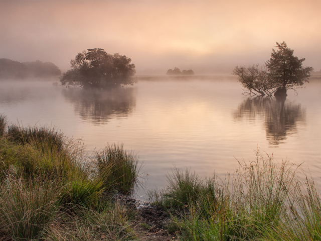 Ричмонд-парк, Суррей, Великобритания