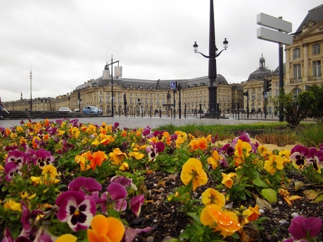 Цветочная клумба в Бордо, Франция