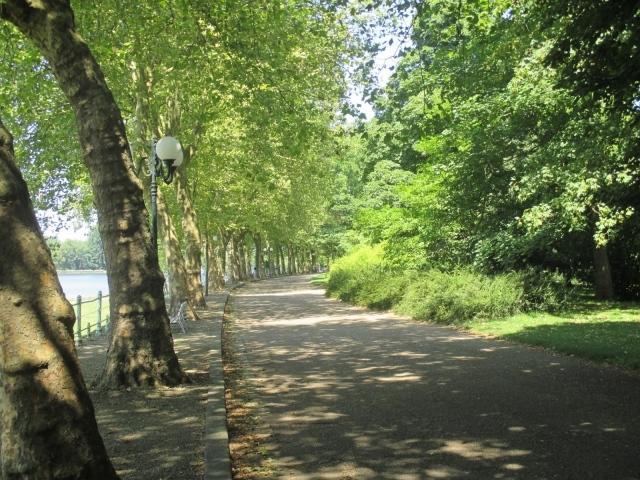 Парковая аллея в городе Виши, Франция