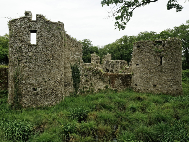 Руины замка в Бретань, Франция