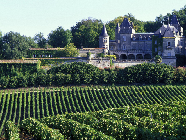 Виноградники в Бордо, Франция
