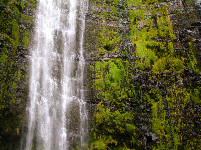 Красивый водопад Ваймоку на острове Мауи, Гавайи