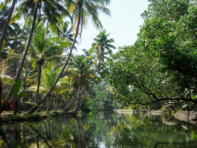 Красивая природа в Алапужа