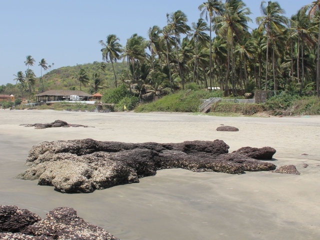 Пальмы на пляже в Ашвеме