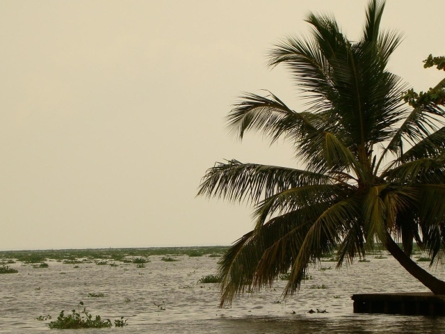 Весенний отпуск в Алапуже