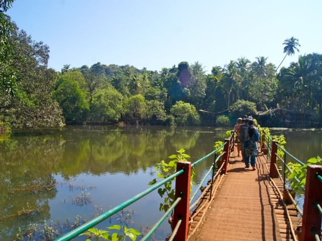 Туристы на мостике в Гоа