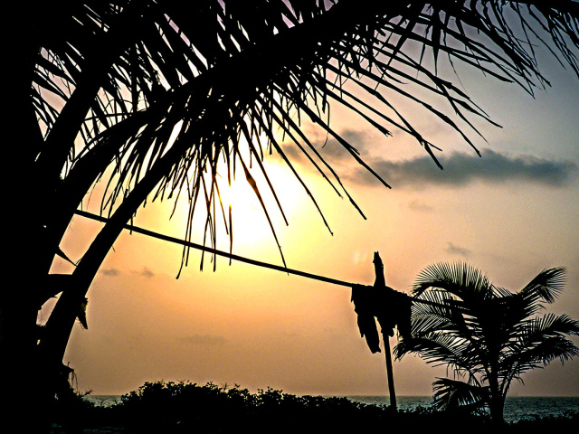 Чудесные закаты в Гоа