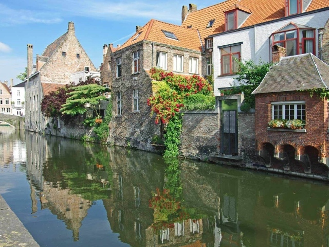 Цветущие растения в Венеции, Италия