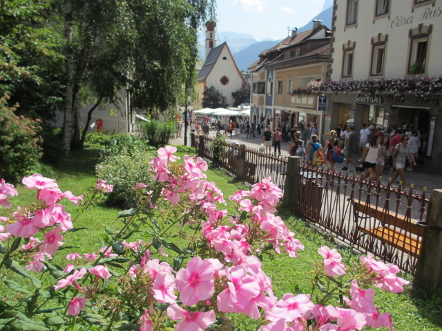 Цветы на клумбе на курорте Ортизей, Италия