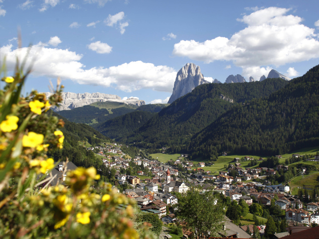 Цветы в горах на горнолыжном курорте Валь Гардена, Италия