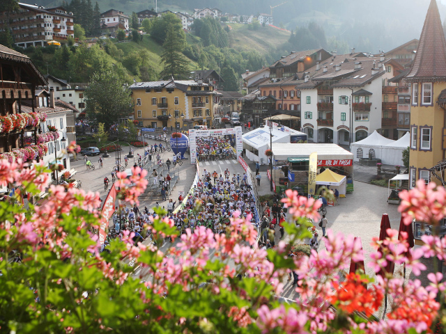 Цветы на горнолыжном курорте Валь-Ди-Фаса, Италия
