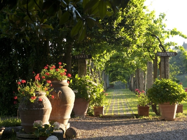 Зеленая аллея в Сиене, Италия