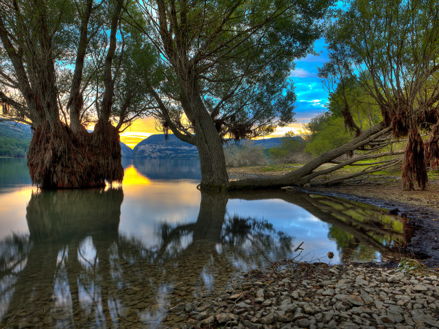 Деревья в озере, Абруццо, Италия