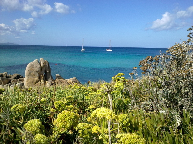 Яхты в заливе на курорте в Пьетра Лигуре, Италия