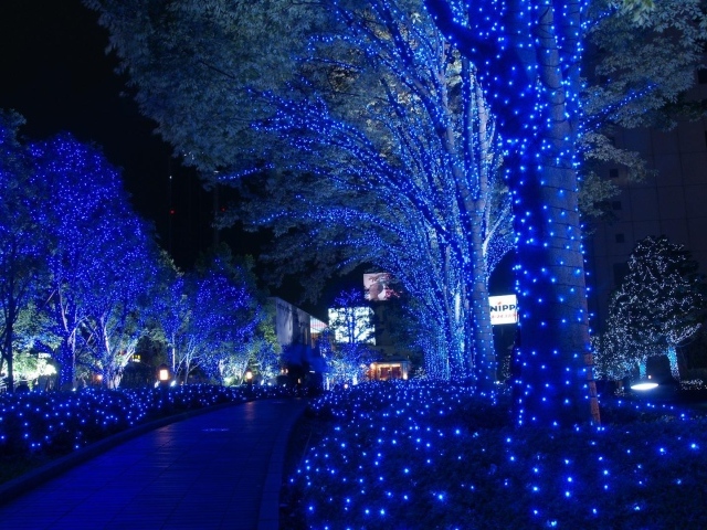 Деревья в парке в Токио