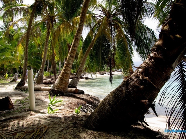 Замечательная страна Панама