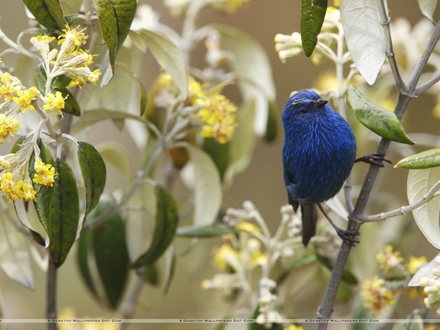 Захватывающие дух Перу