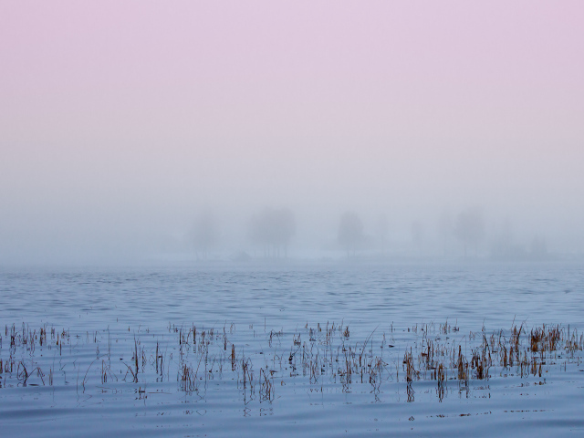 Туман в Швеции