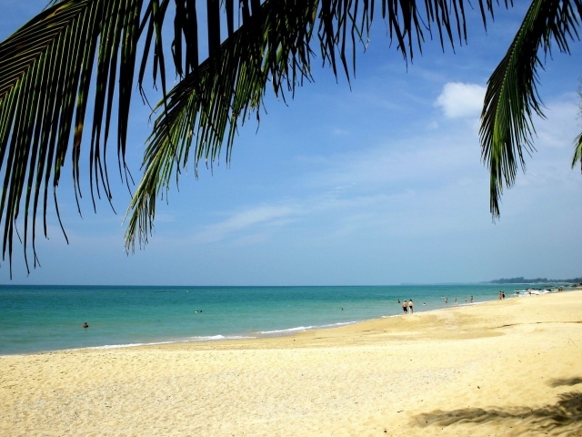 Золотой пляж на острове Самуи, Таиланд