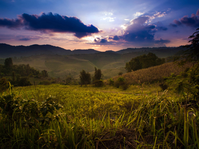 Недалеко от деревни Мае Салонг в Таиланде