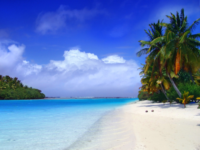 Пальмы на пляже в Пхукете, Таиланд