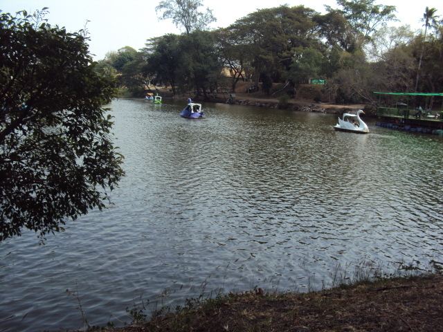 Зоопарк на курорте Лопбури, Таиланд