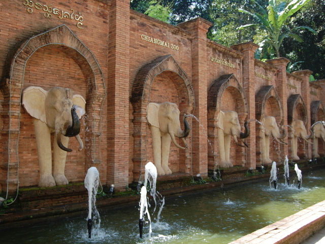 Зоопарк на курорте Чианг Май, Таиланд