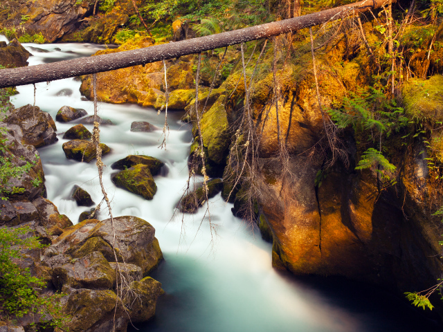 Река Северная Ампкуа, Орегон, США