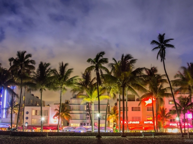 Пальмы на вечерней улице в Майами
