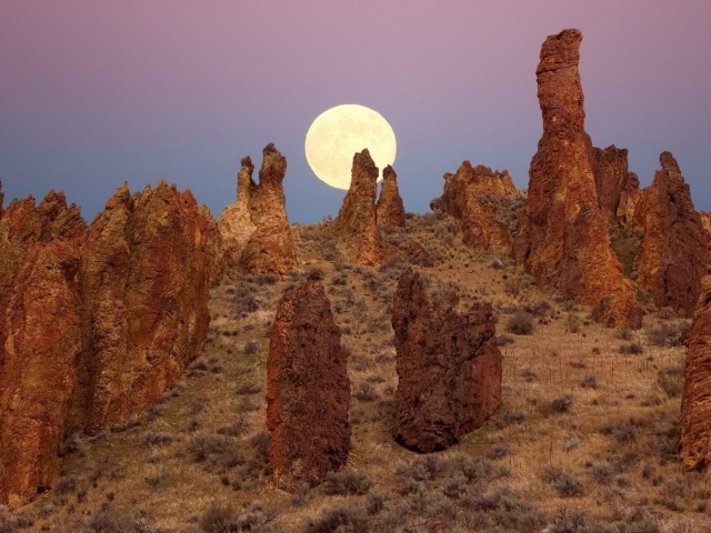 Каменные столбы в Орегоне