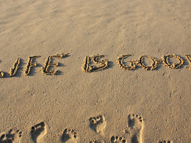 Жизнь хорошая штука