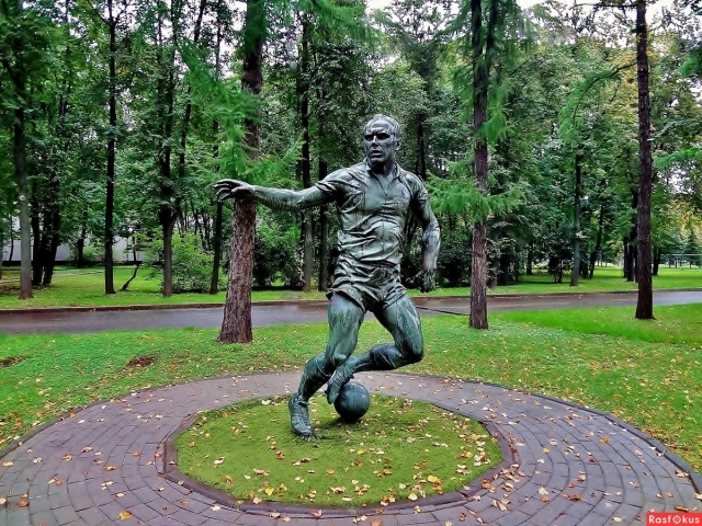 Памятник Эдуарду Стрельцову выдающемуся футболисту